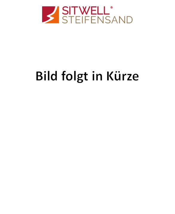 Bürostuhl zur Rückenunterstützung 